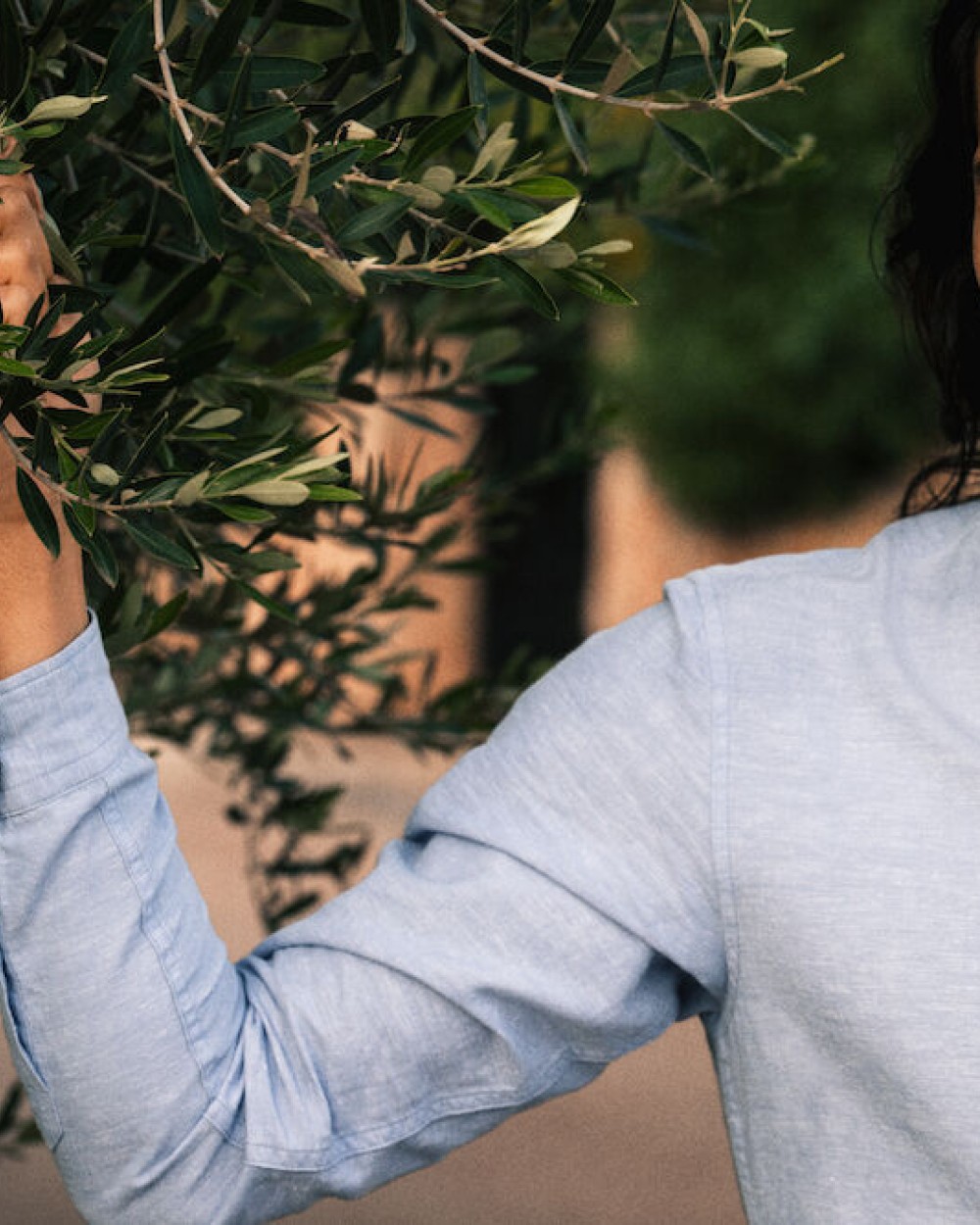 JAMES-HARVEST Townsend
Hemd Herren Hemden personalisierbar