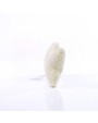 MBW MiniFeet® Dog Toy Bone With Squeak Function Zubehör personalisierbar