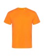 T-shirts STEDMAN COTTON TOUCH voor bedrukking &amp; borduring