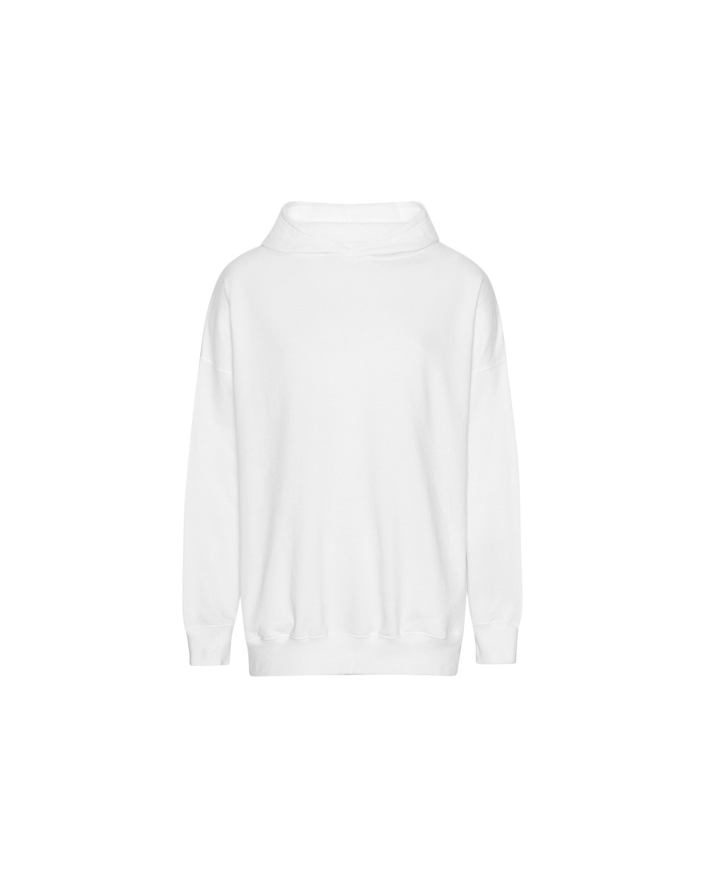 Sweat-shirts personnalisable NEUTRAL TIGER COTTON OVERSIZED HOODIE