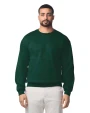 Sweaters & hoodies GILDAN Heavy Blend™ Adult Sweater met ronde hals voor bedrukking &amp; borduring