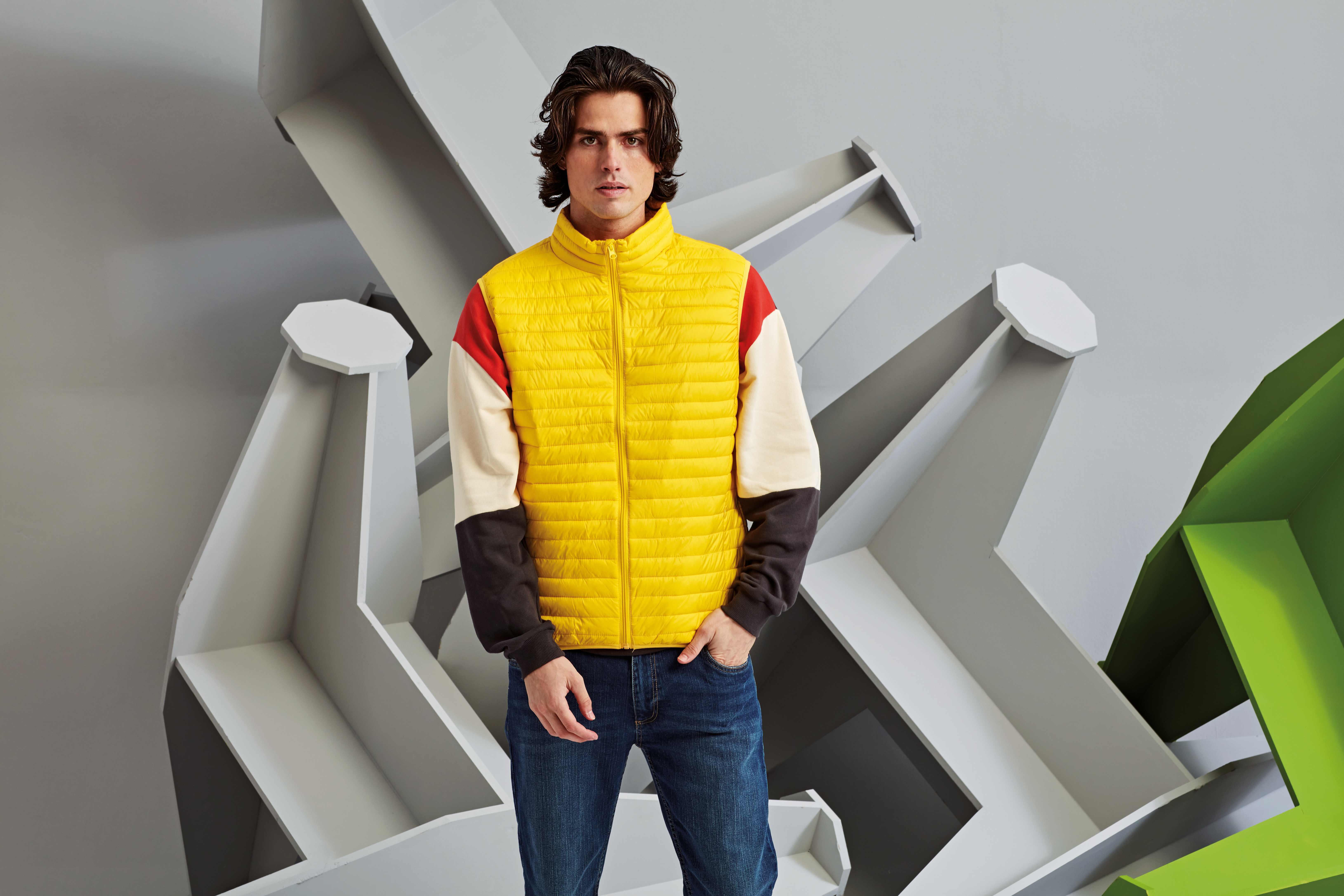 Vestes personnalisable 2786 Doudoune sans manches Tribe Fineline homme