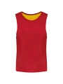 PROACT Chasuble réversible multisports enfant /api/colors/405ea725-c90b-4848-845f-8e55e990b1b4 personnalisable