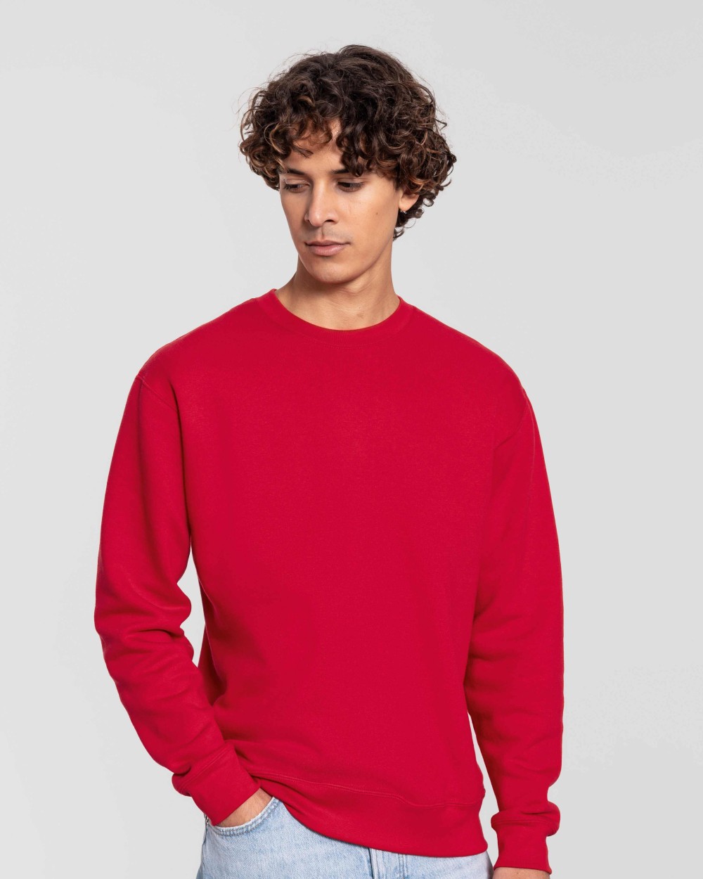 Sweaters & hoodies FOL Iconic premium set-in sweatshirt voor bedrukking &amp; borduring