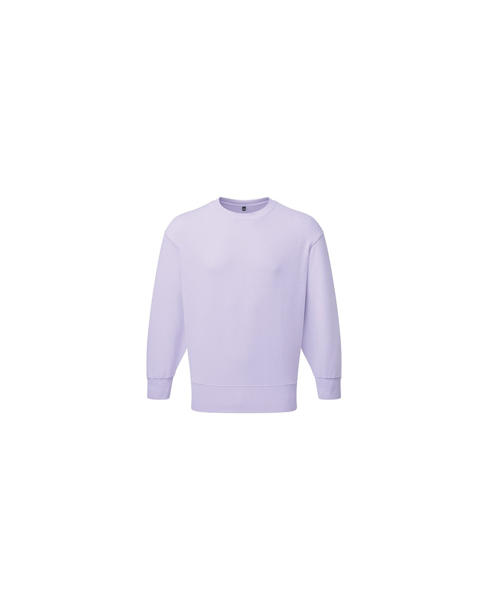Sweat-shirts personnalisable TRIDRI Unisex Recycled Sweatshirt