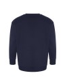 AWDIS CRATER RECYCLED SWEATSHIRT /api/colors/b68891a9-1d28-4f7a-8deb-775c45027afd personnalisable