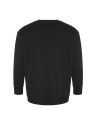 AWDIS CRATER RECYCLED SWEATSHIRT /api/colors/b9fdad4a-5e94-45cb-8c03-c08b349b28c3 personnalisable
