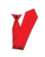 Bandanas, Foulards & Dassen PREMIER Colours' satin clip tie voor bedrukking &amp; borduring