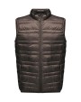 Vestes personnalisable REGATTA Firedown Down-Touch Bodywarmer