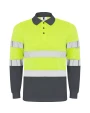 Polo's ROLY POLARIS L/S voor bedrukking &amp; borduring