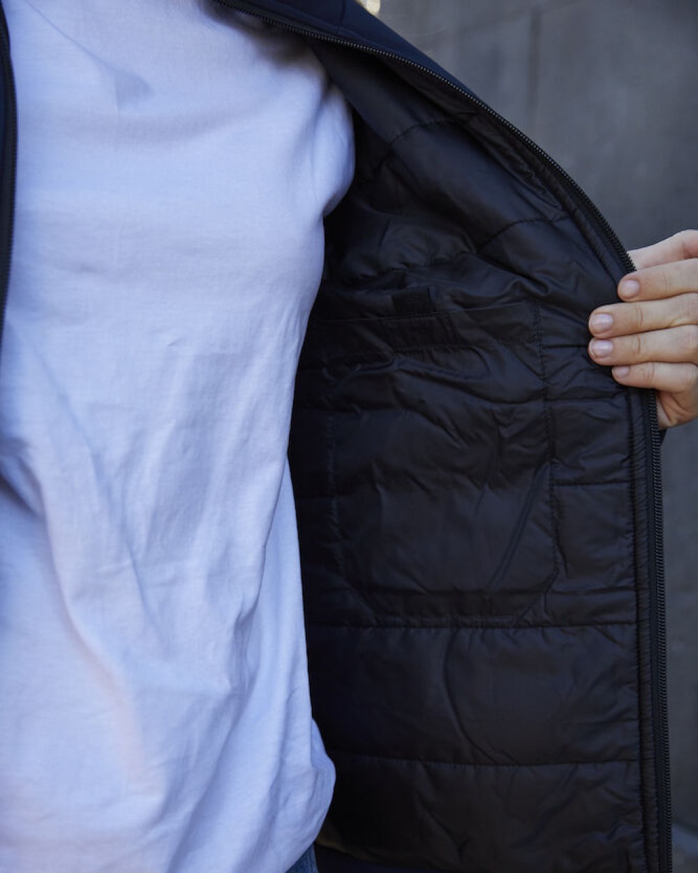 Softshells CLIQUE Padded Softshell Jacket voor bedrukking &amp; borduring