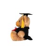 Accessoires personnalisable MUMBLES Graduation Bear