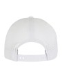 Petjes FLEXFIT Pet Delta Snapback voor bedrukking &amp; borduring