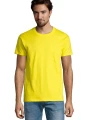 T-Shirts à personnaliser SOL'S Imperial /api/colors/70e7d1c2-03a7-4849-8105-09482bd90699