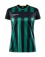 T-shirts CRAFT Progress 2.0 Stripe Jersey W voor bedrukking &amp; borduring