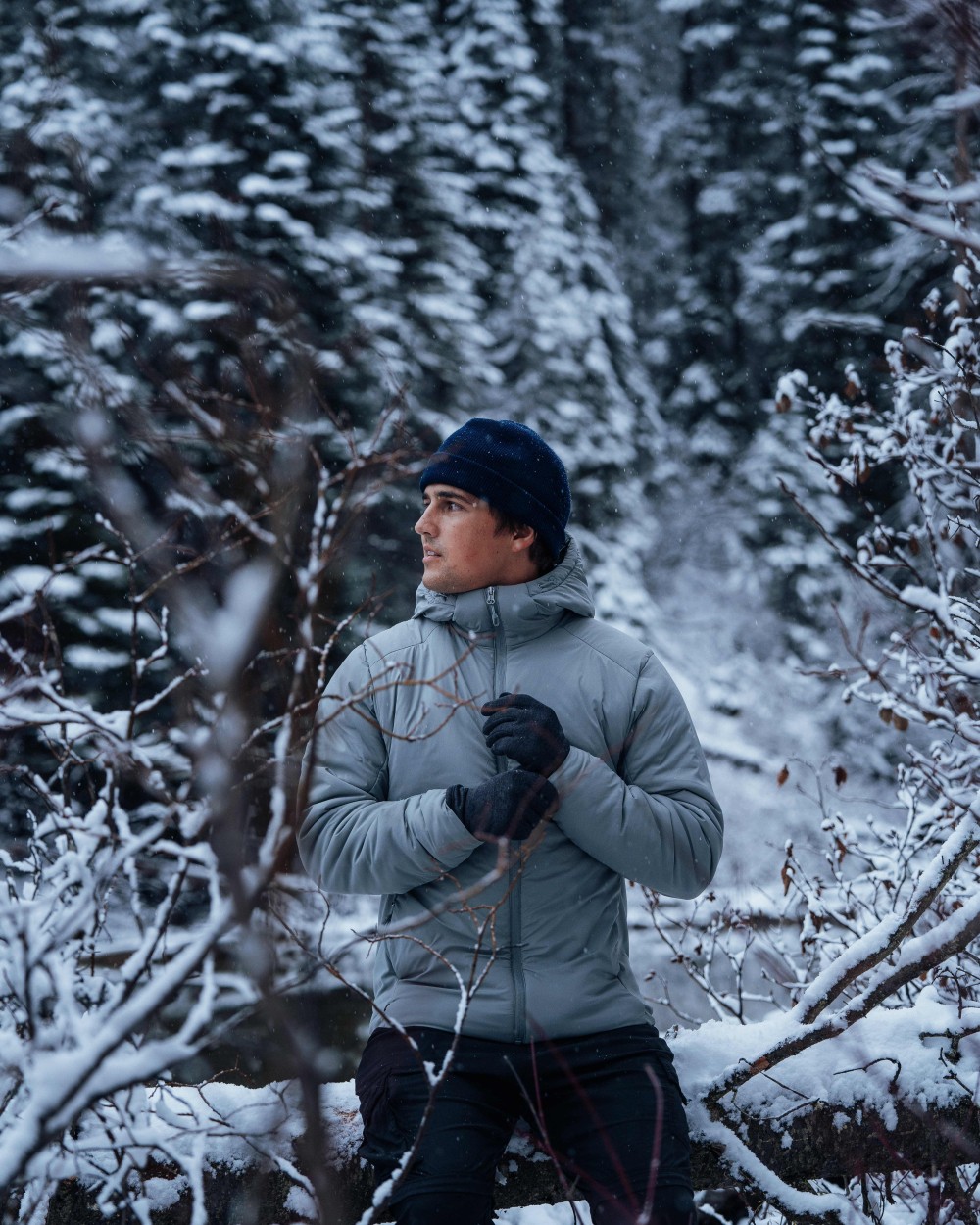 Vestes personnalisable STORMTECH Veste thermique Cascadia pour hommes