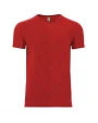 T-shirts ROLY BAKU voor bedrukking &amp; borduring