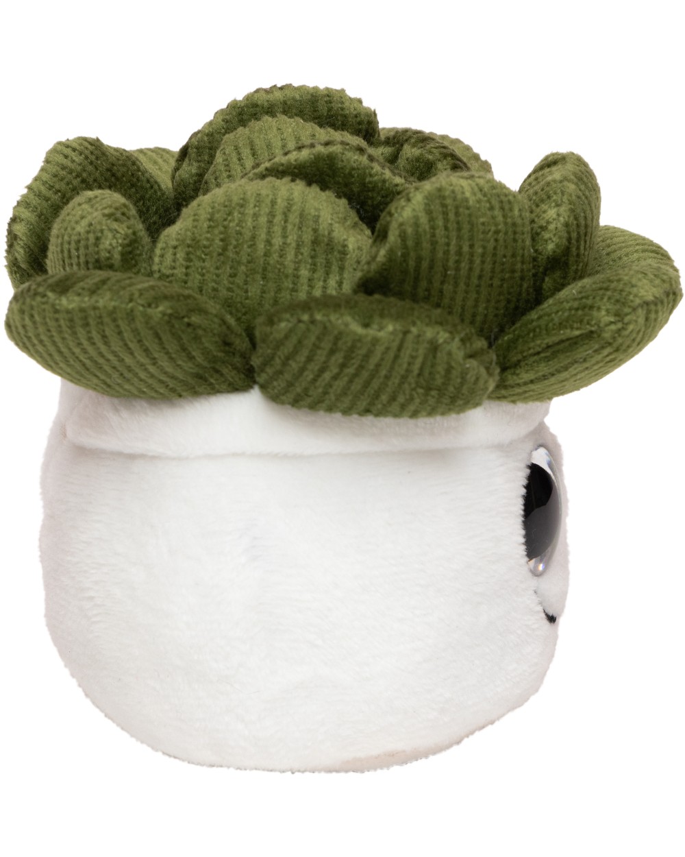 Benodigdheden MBW Schmoozies® Evergreenies® Succulent voor bedrukking &amp; borduring