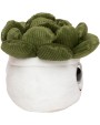 Benodigdheden MBW Schmoozies® Evergreenies® Succulent voor bedrukking &amp; borduring