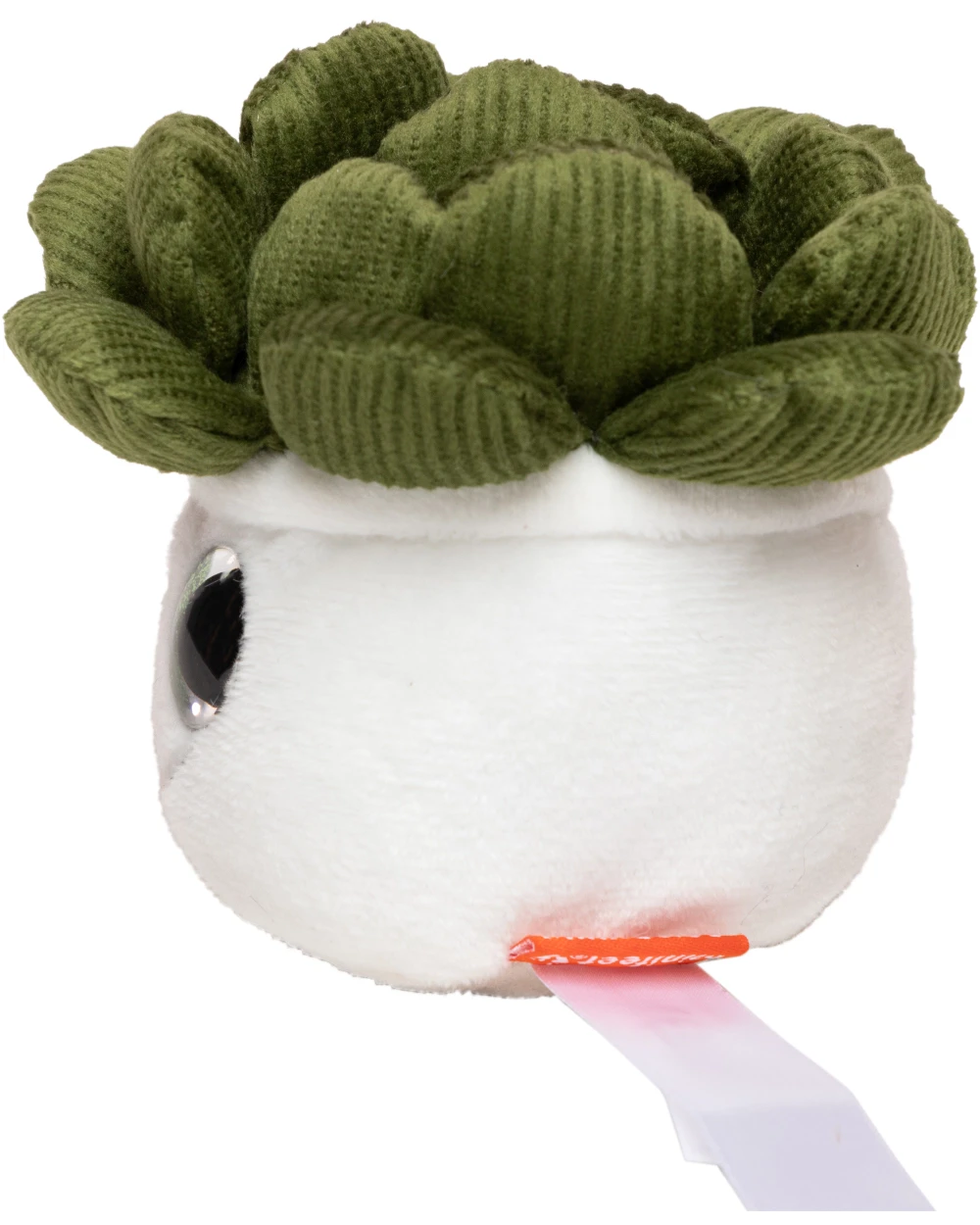 Benodigdheden MBW Schmoozies® Evergreenies® Succulent voor bedrukking &amp; borduring