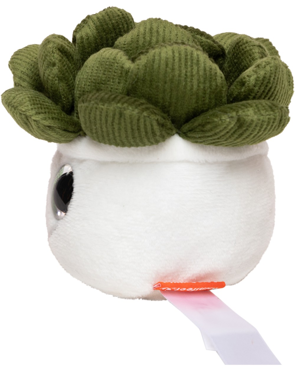 Benodigdheden MBW Schmoozies® Evergreenies® Succulent voor bedrukking &amp; borduring