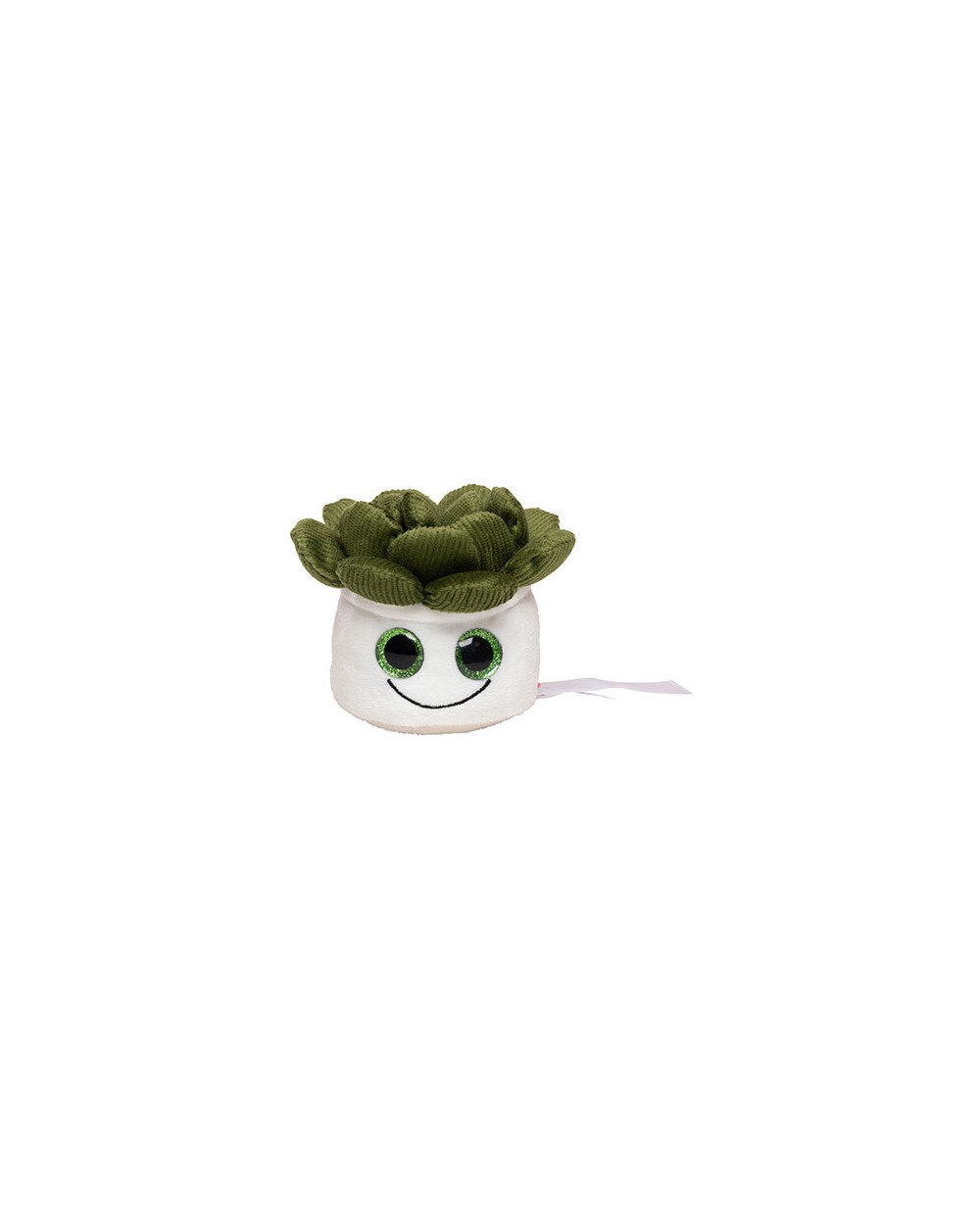 Accessoires personnalisable MBW Schmoozies® Evergreenies® Succulent