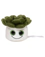MBW Schmoozies® Evergreenies® Succulent Zubehör personalisierbar