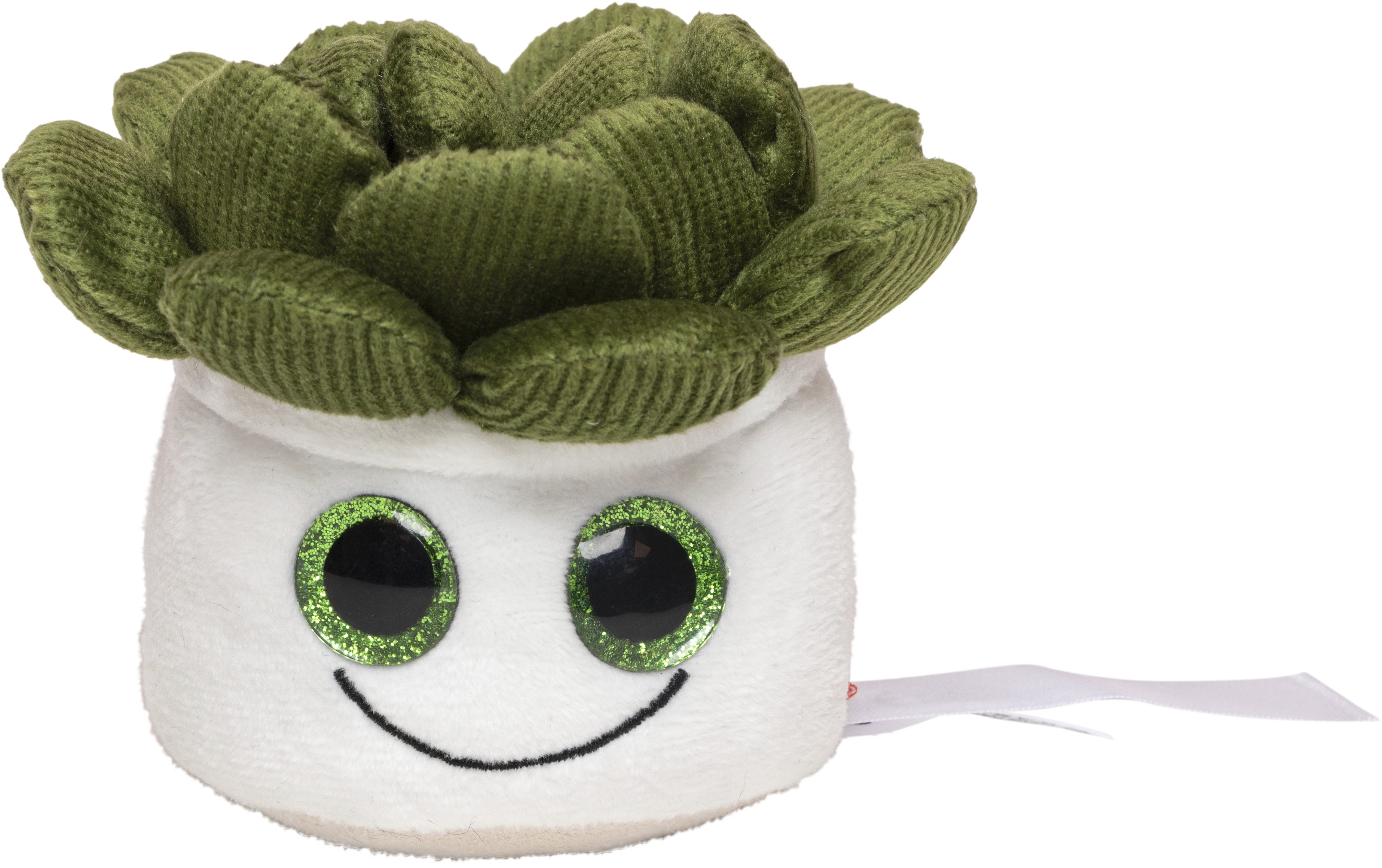 Benodigdheden MBW Schmoozies® Evergreenies® Succulent voor bedrukking &amp; borduring