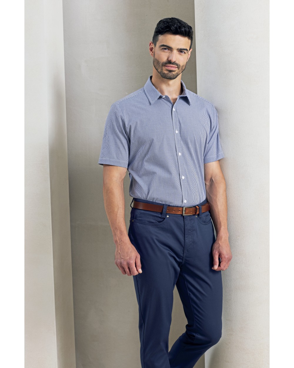 Chemises personnalisable PREMIER Mens microcheck (Gingham) Short Sleeve Shirt Cotton