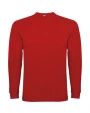 T-shirts ROLY POINTER CHILD voor bedrukking &amp; borduring