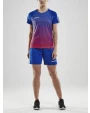 T-shirts CRAFT Pro Control Stripe Jersey W voor bedrukking &amp; borduring