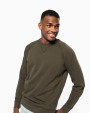 Sweat-shirts personnalisable KARIBAN Sweat-shirt Bio col rond manches raglan homme
