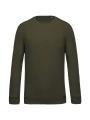 KARIBAN Sweat-shirt Bio col rond manches raglan homme /api/colors/a9253c7c-62e7-48e4-a789-39039680a750 personnalisable