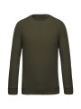 KARIBAN Sweat-shirt Bio col rond manches raglan homme /api/colors/a9253c7c-62e7-48e4-a789-39039680a750 personnalisable