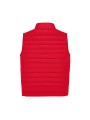B&C RESET BODYWARMER /api/colors/c953313a-9c9d-493b-934e-ddcf8fada2ae personnalisable