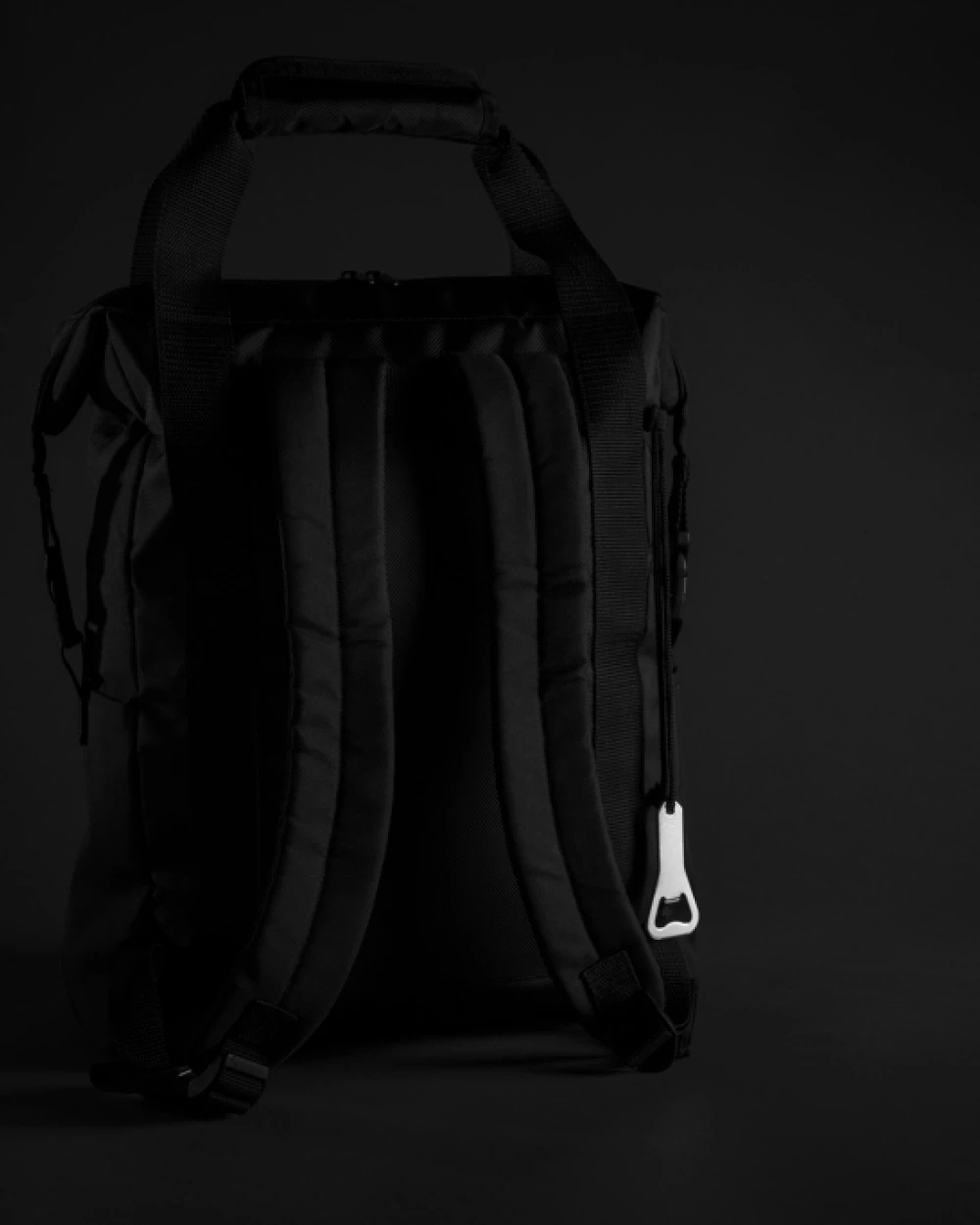 Tassen & Zakken SWISS PEAK Swiss Peak koeldraagtas/rugzak PVC vrij voor bedrukking &amp; borduring