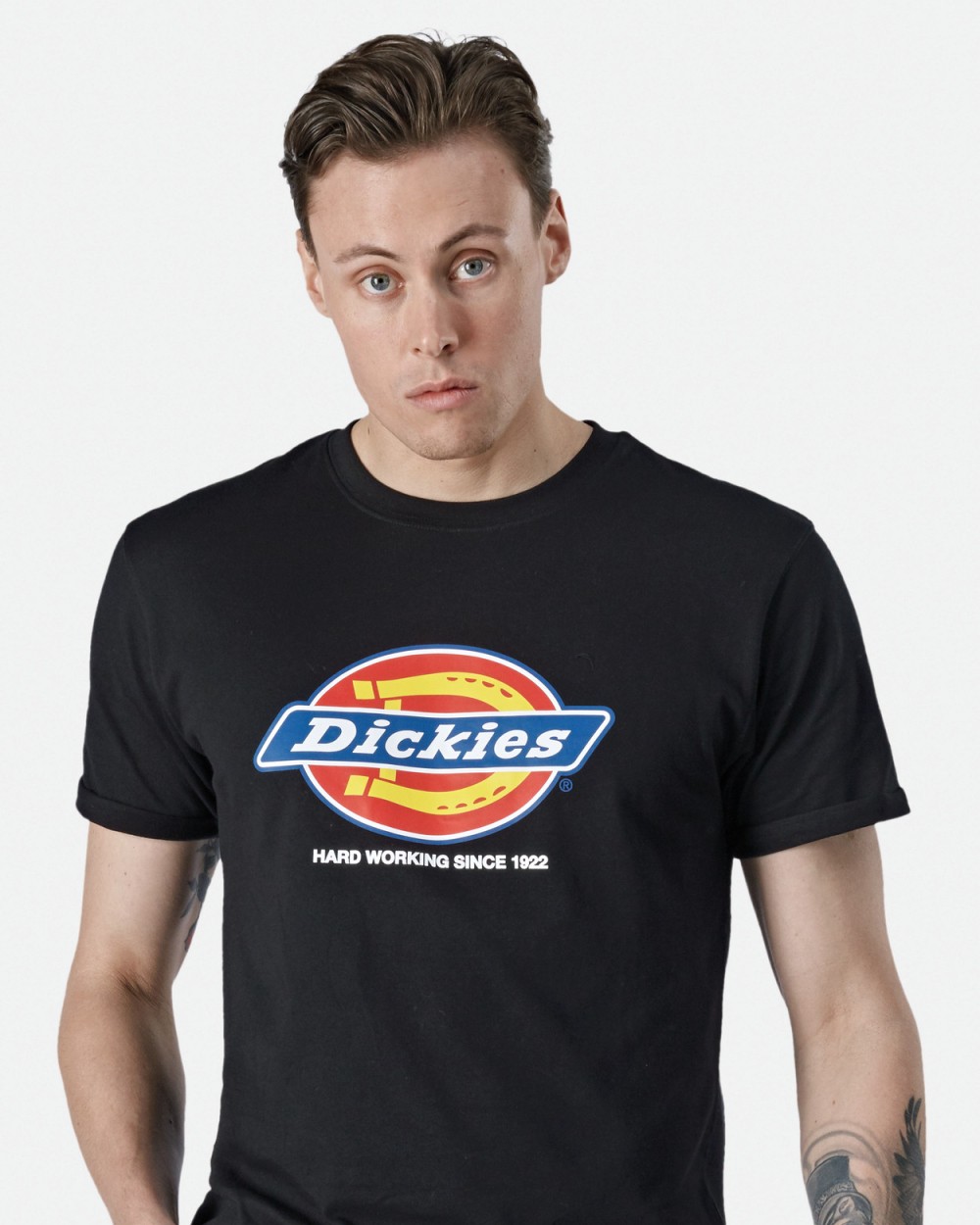 T-shirts DICKIES Heren-t-shirt DENISON (DT6010) voor bedrukking &amp; borduring