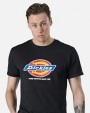 T-Shirts personnalisable DICKIES T-shirt DENISON homme (DT6010)
