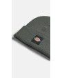 Bonnets personnalisable DICKIES Bonnet EVADALE (DT8003)