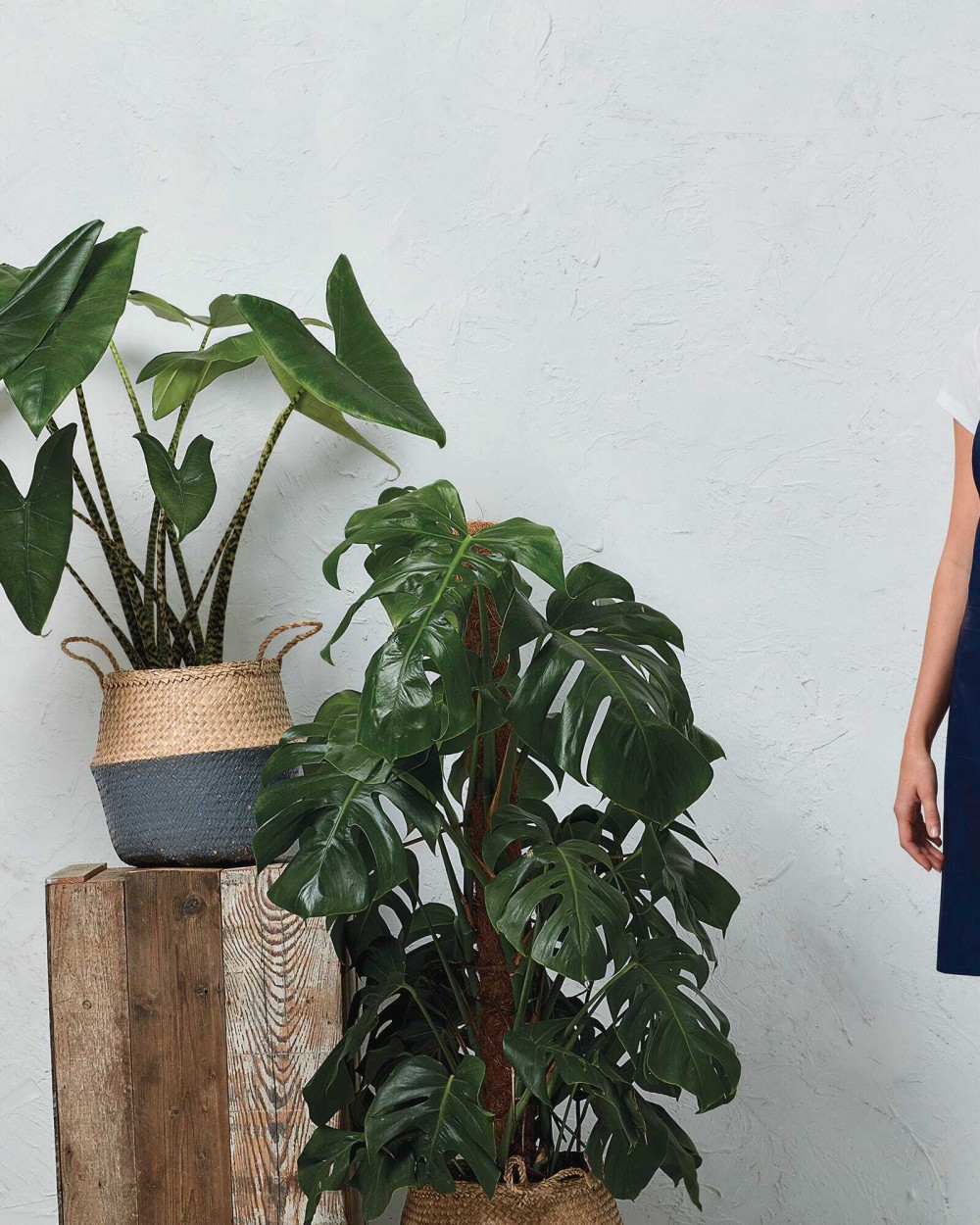 Tabliers personnalisable PREMIER Lanières de tablier