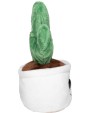 Benodigdheden MBW Schmoozies® Evergreenies® Cactus voor bedrukking &amp; borduring