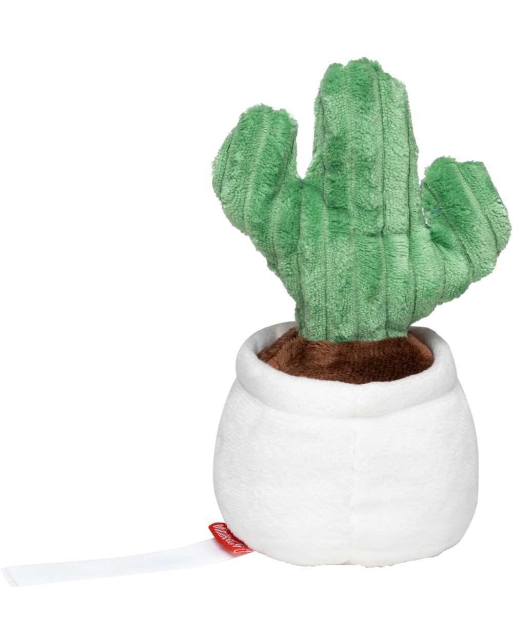 Accessoires personnalisable MBW Schmoozies® Evergreenies® Cactus