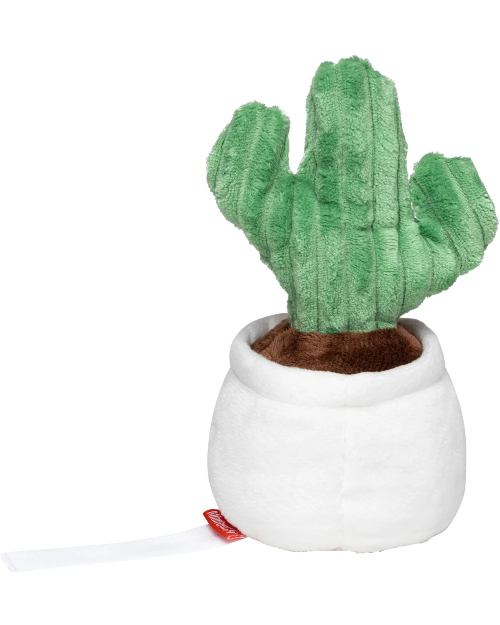 Accessoires personnalisable MBW Schmoozies® Evergreenies® Cactus