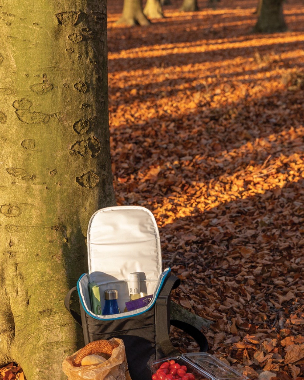 Tassen & Zakken 4DO Explorer draagbare outdoor koeltas voor bedrukking &amp; borduring