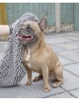 Produits éponges personnalisable HOME & LIVING Serviette Noodle pour animaux