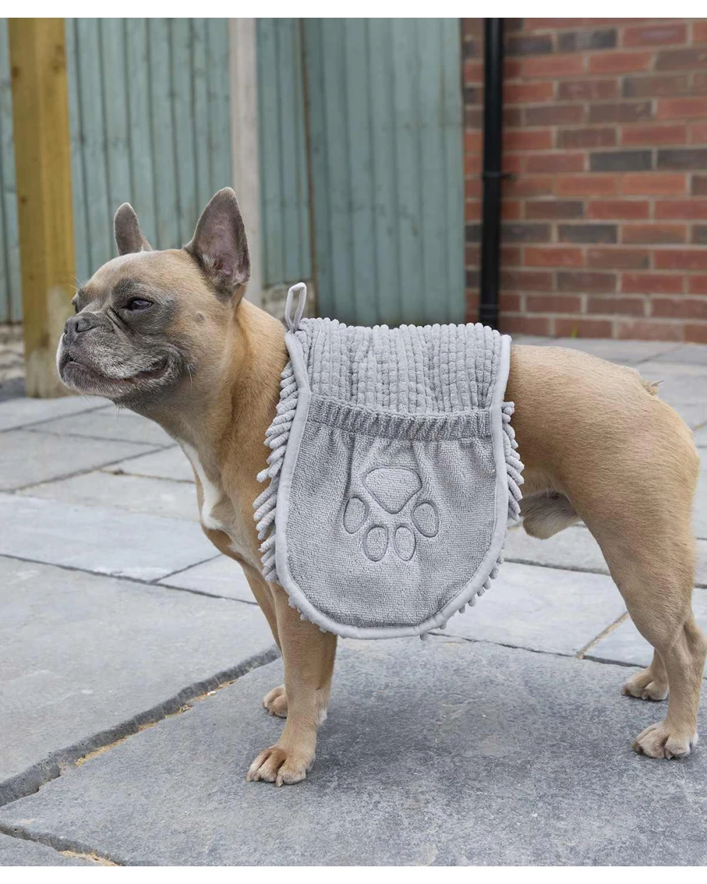 Produits éponges personnalisable HOME & LIVING Serviette Noodle pour animaux