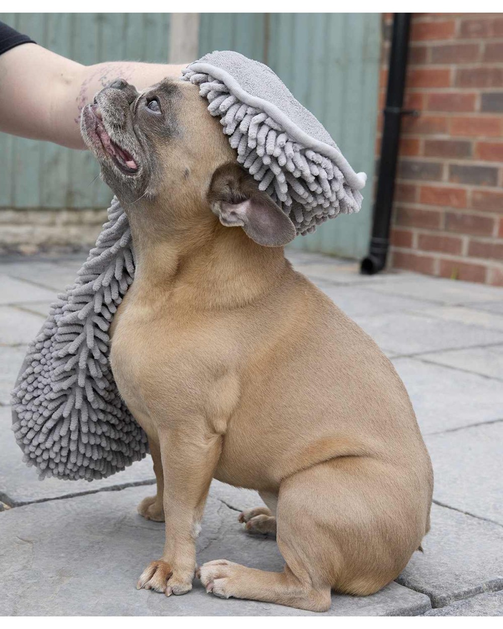 Bad artikelen HOME & LIVING Noodle pet towel voor bedrukking &amp; borduring