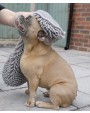 Bad artikelen HOME & LIVING Noodle pet towel voor bedrukking &amp; borduring