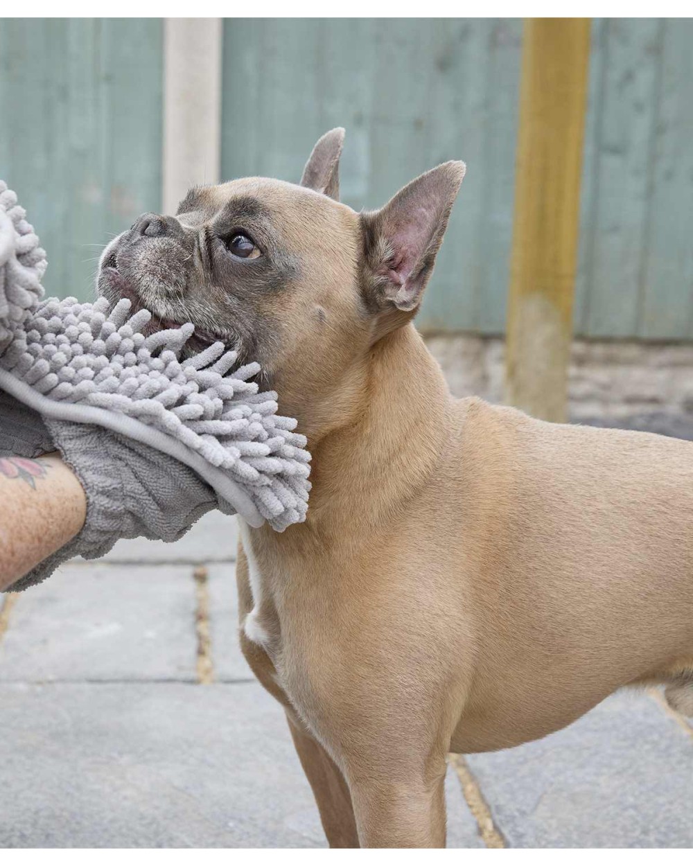 HOME & LIVING Noodle pet towel Bad Artikeln personalisierbar