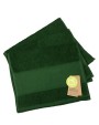 Produits éponges personnalisable A&R PRINT-Me® Guest Towel